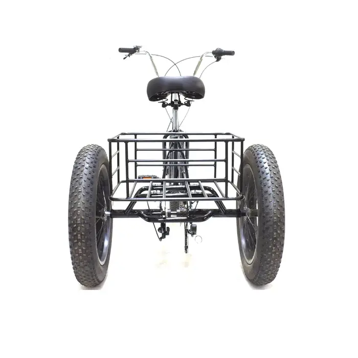 Roue de vélo à trois roues de 20 pouces * 4.0 / Roue de vélo tout-terrain / Roue gauche / droite à 36 trous
