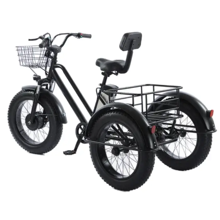 Gros vélo vélo électrique 20 pouces neige puissant homme 48V 500W Tricycle électrique cargo avec siège passager pour adultes personnes âgées