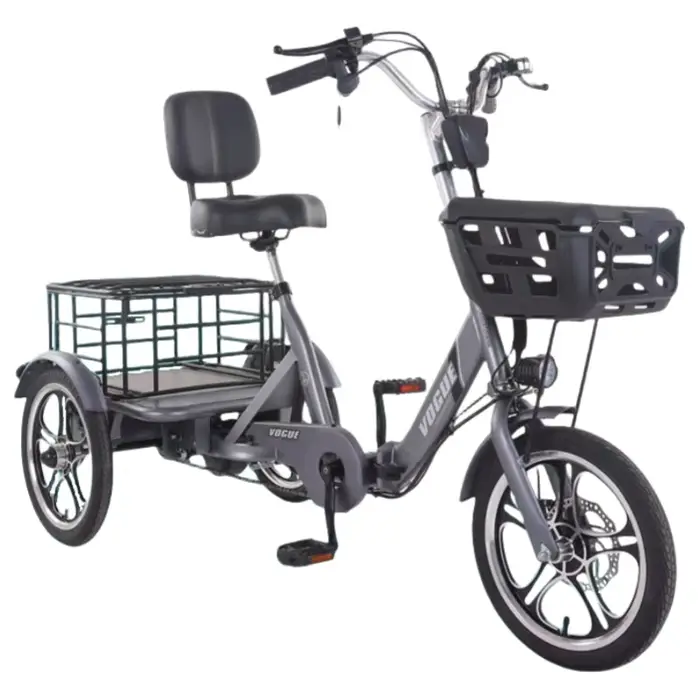 400W adulte Cargo vélo électrique nouveau Tricycle