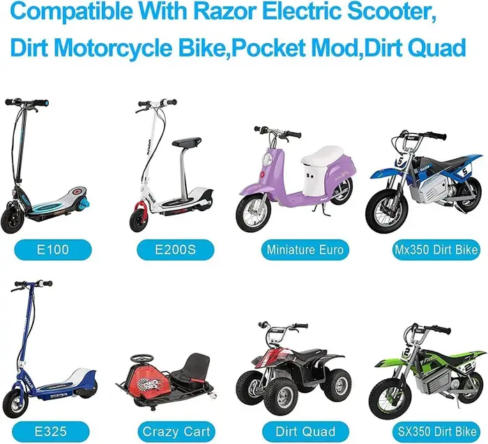 Chargeur de batterie de Scooter 24V