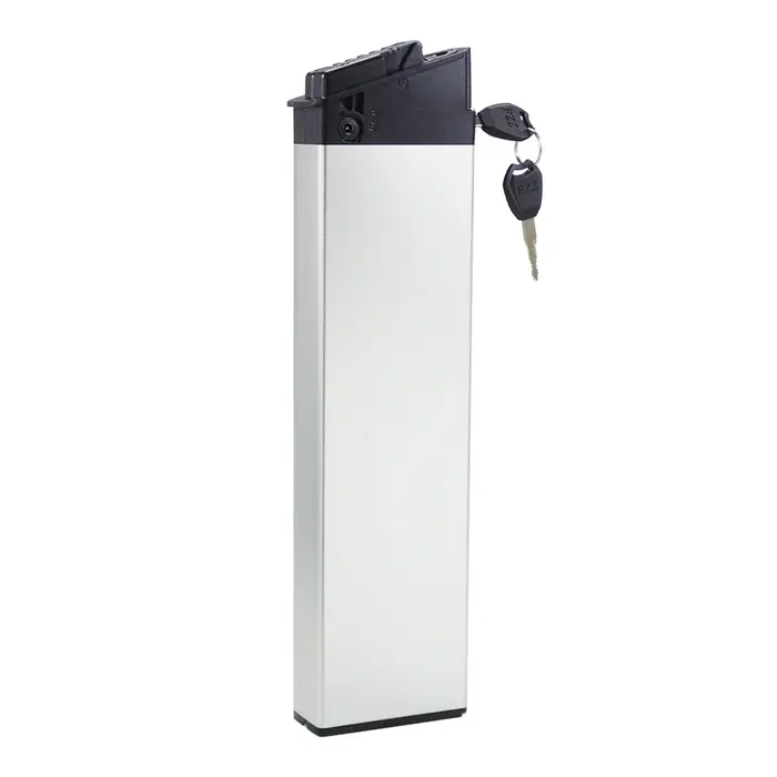 Lectric XP Lite 2.0 batterie Ebike 48V 14Ah 672Wh