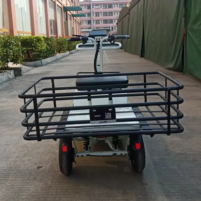 Tricycles électriques de cargaison à grande vitesse de roue de vélo de chargement électrique de mobilité 48V 1000W 4 roues