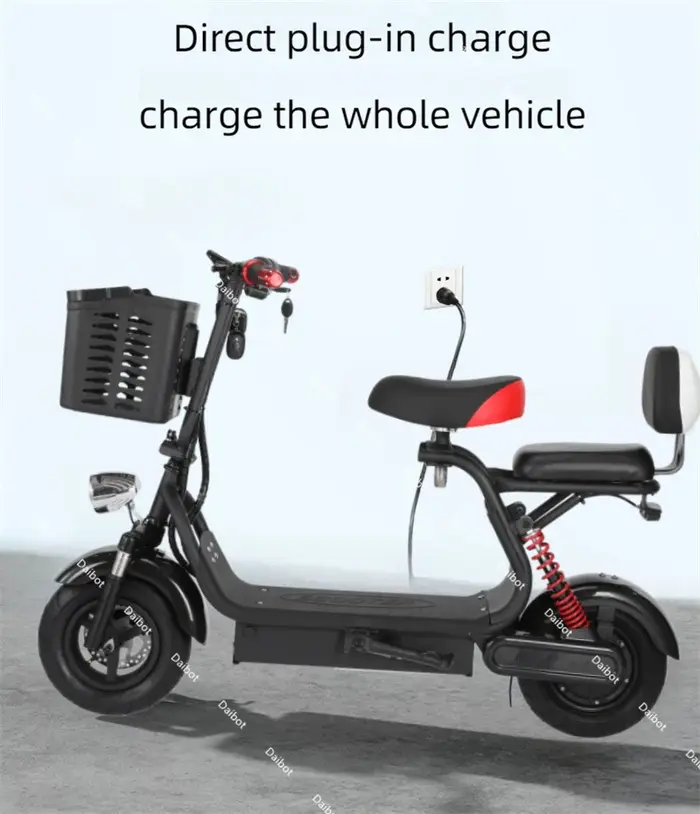 Scooter électrique pliable 2 roues 1000w 2 places