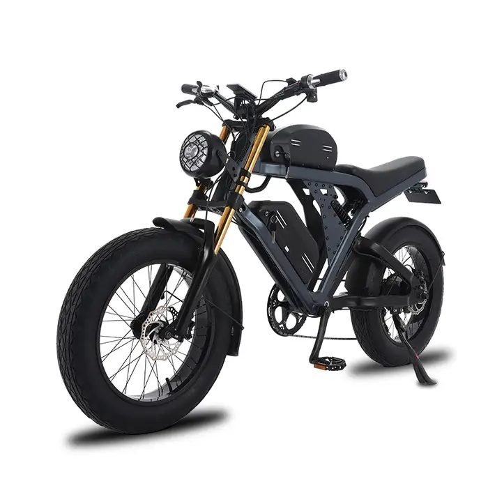Vélo électrique à pneus larges 1500W 48V haute vitesse, vélo tout-terrain électrique 20 pouces pour 