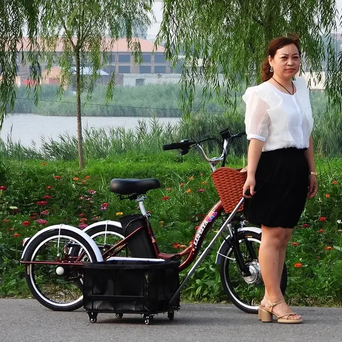 Tricycle électrique à 3 roues pour adultes
