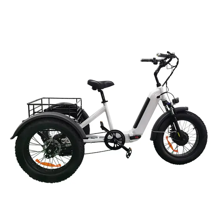 48V 500W gros pneu moyeu moteur 3 roues pliable électrique Cargo vélo adulte trois roues électrique 