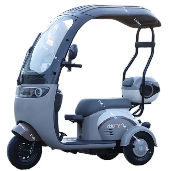 Tricycle électrique injuste pour adultes avec siège arrière, trottinette de mobilité électrique à 3