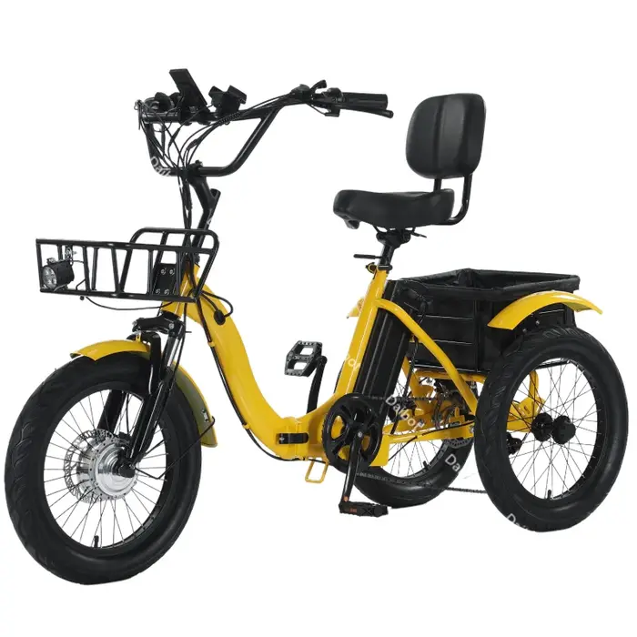 Vélo électrique pliable de 18 pouces à 3 roues pour adultes