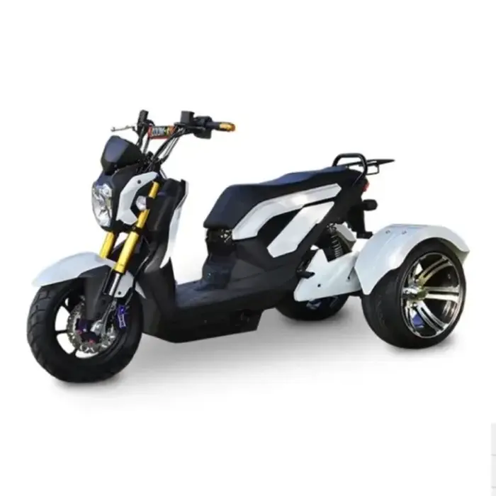 Tricycle électrique tout-terrain pour adultes