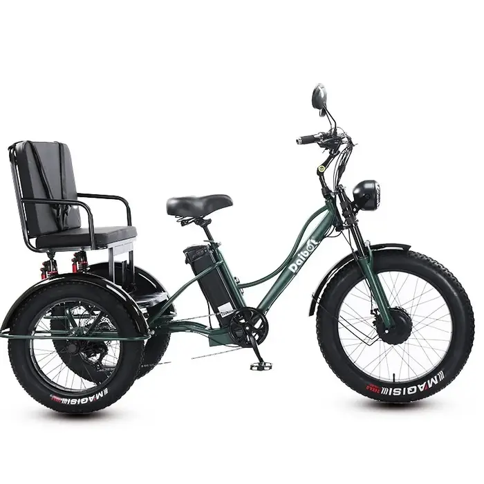 Nouveau Tricycle électrique à 3 roues vélo Cargo avec passagers personnes âgées adultes 2 places 750W puissant