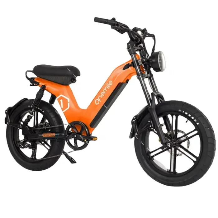 Fatbike – vélo électrique 2024