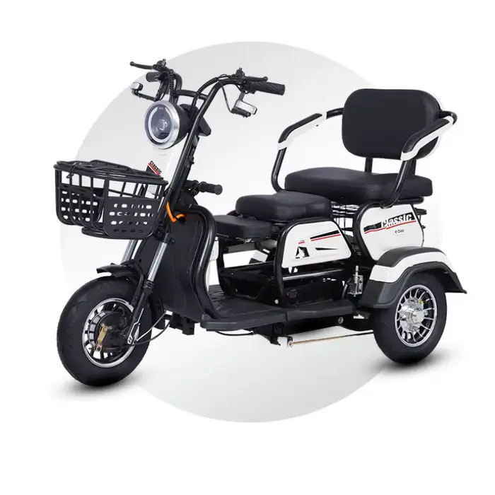 Tricycle électrique à 3 places pour adultes