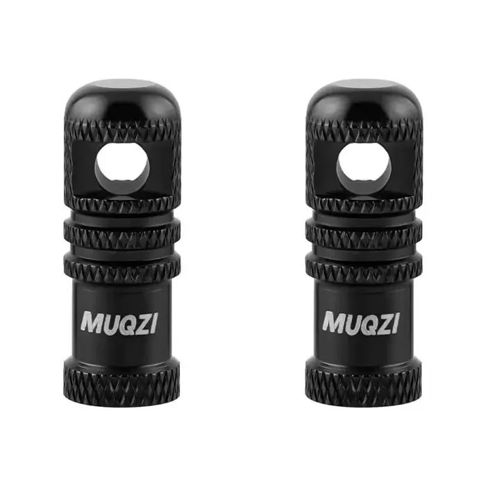 Bouchon de Valve de vélo avec fonction de retrait du noyau de Valve, 2 pièces, capuchon de tige de V