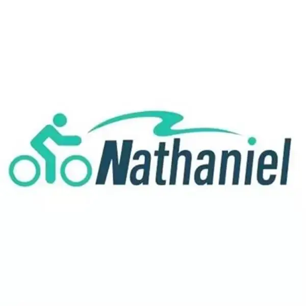 Vélo électrique Nathaniel SYR08 2000W à double moteur, pneus larges 20*4.0, batterie amovible 20AH, 
