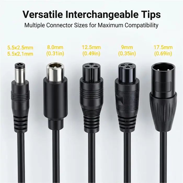 Chargeur de batterie lithium pour vélo électrique 54