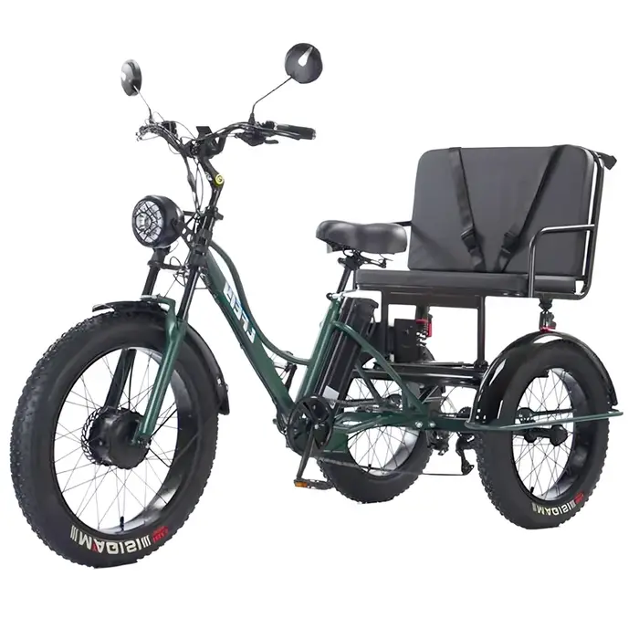 Tricycle électrique Cargo gros vélo pour deux personnes 2 places 750W 48V hors route puissant