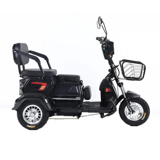 Vélo électrique à 3 roues TTY Factory 600W 48V