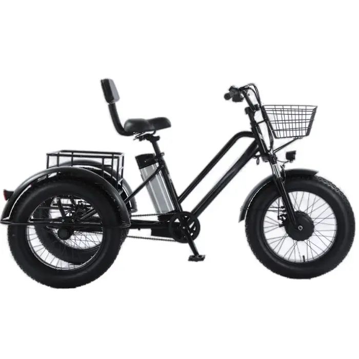Tricycles électriques tout Terrain à gros pneus de 20 pouces pour adultes 48V 500W vélo électrique à