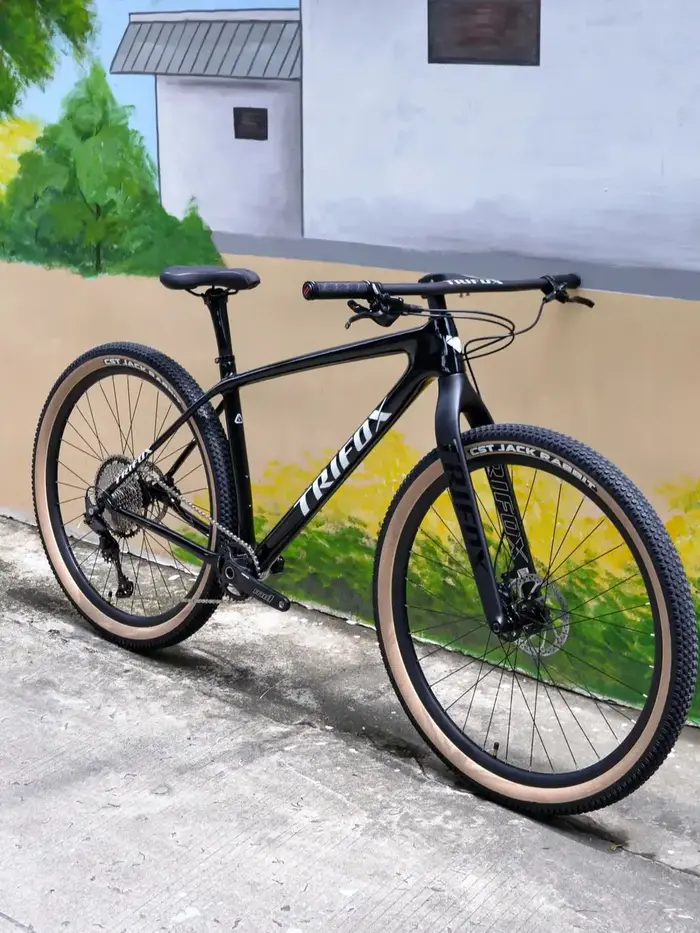 TRIFOX Horquille rigide VTT entièrement en carbone de 29 po – Steerer conique