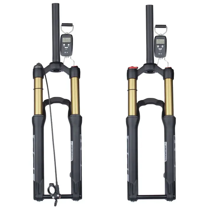 Bolany-Fourche avant de vélo avec arbre de baril