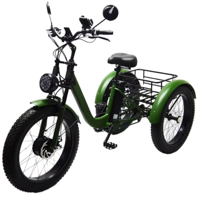 Tricycle électrique de chargement de 3 roues pour adulte puissant 750W 48V 15AH 24 pouces gros VTT