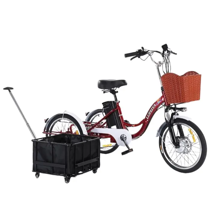 Tricycle électrique à 3 roues pour adultes