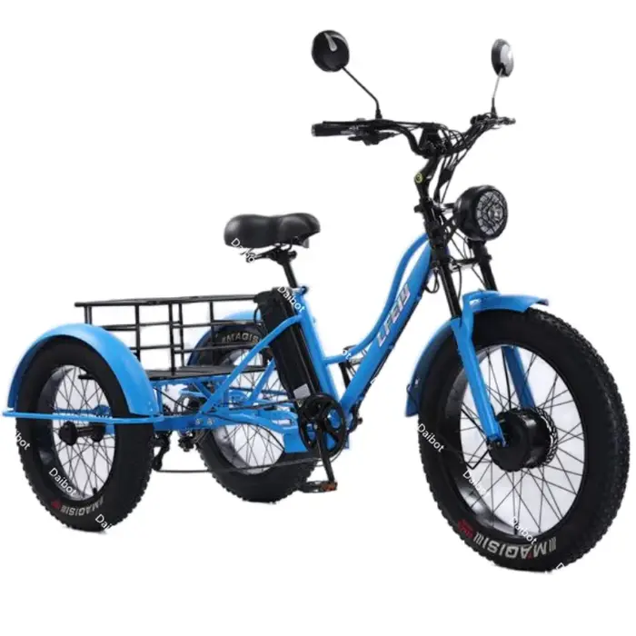 Vélo électrique de montagne à 3 roues 750w