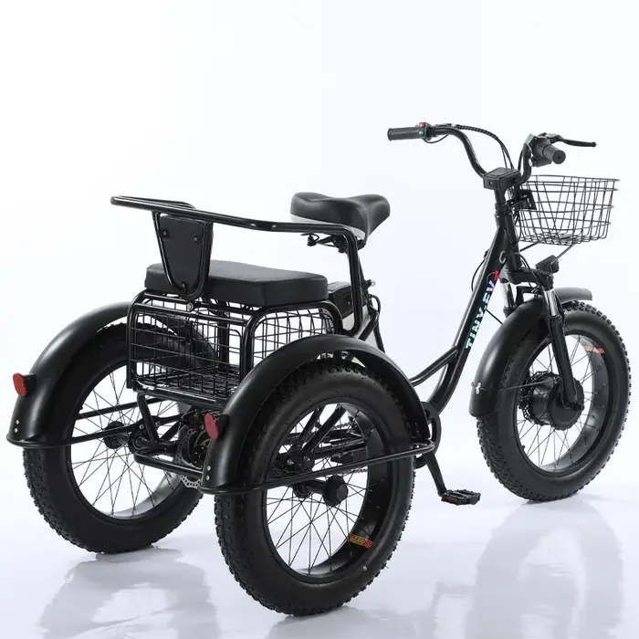Tricycle électrique à 3 roues de vélo