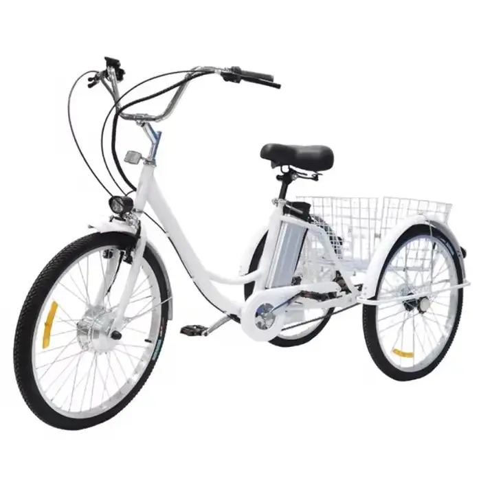 Vélo Cargo électrique pour adultes personnes âgées 350W 36V 12AH batterie au Lithium amovible