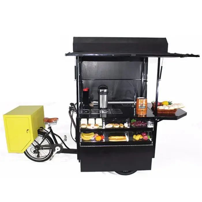 Vélo de Rue Rétro à Moteur dans la Roue Arrière, 500W, Nouveauté