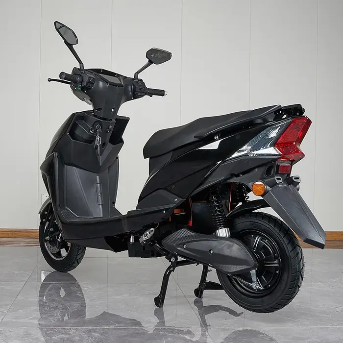 Moped électrique à 2 roues 600W/800W