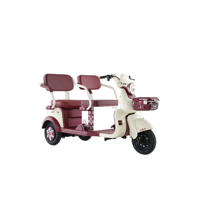 Tricycle électrique 60V