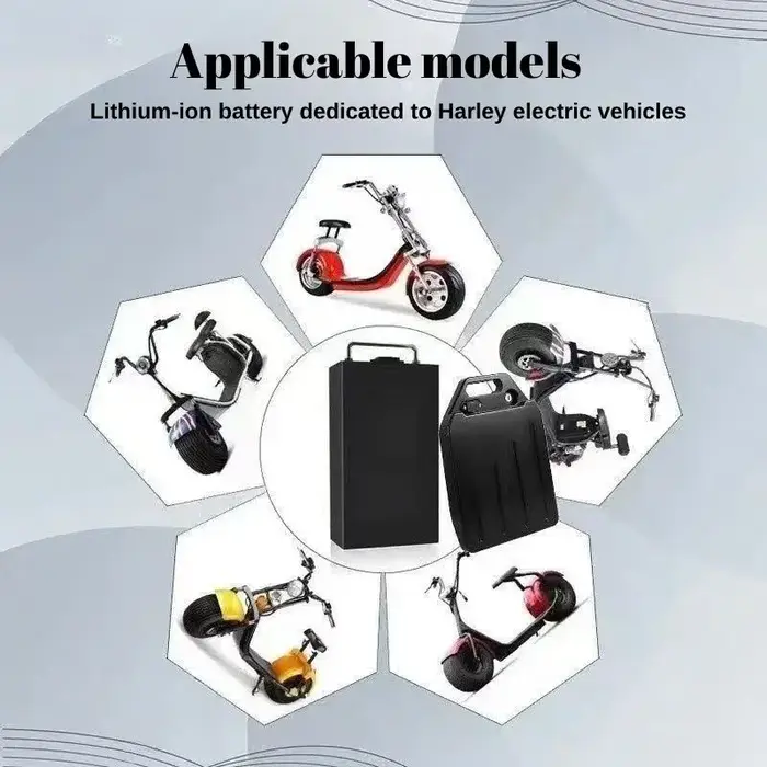 Pour Harley 60V 30Ah-50Ah deux roues pliable Citycoco scooter électrique moto