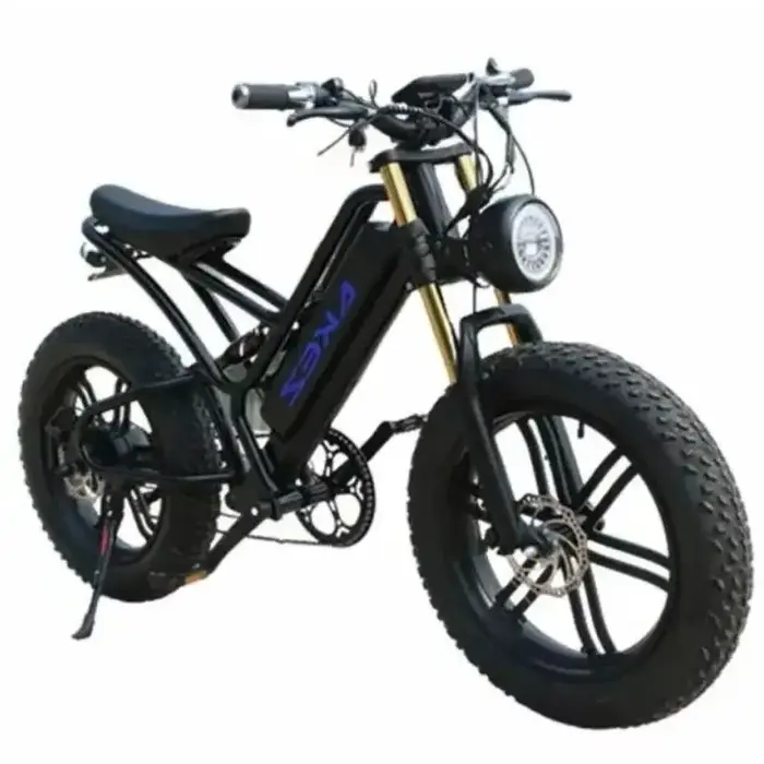 Vélo Électrique Rétro de 20 Pouces, 750W, 48V, avec Batterie Parfaite, pour Homme et Femme