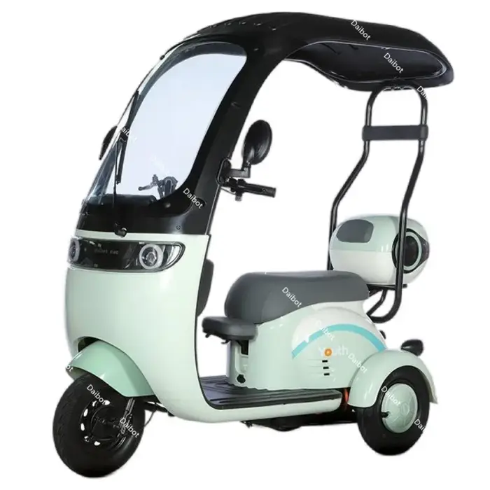 Tricycle électrique avec hangar 3 lieux pour passagers, Scooter électrique adulte 1000W avec siège e