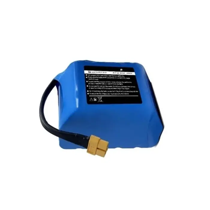 Batterie Li-ion rechargeable 6S2P 25