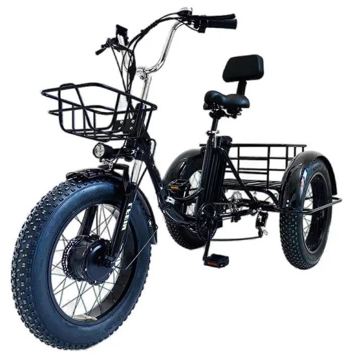 Vélo Électrique Pliant à 3 Roues pour Homme Adulte