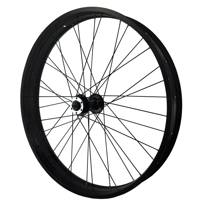 Gros vélo roue avant Ebike 20 et 26 pouces