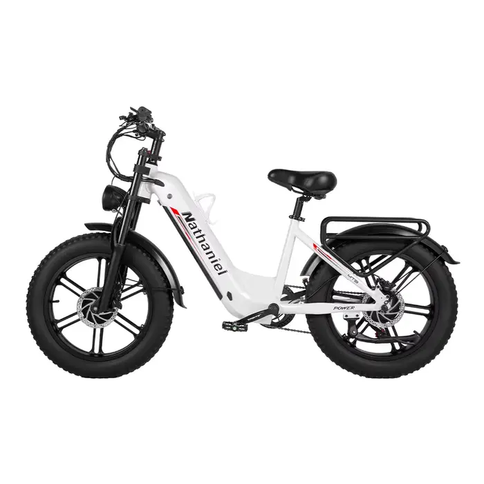 Roue intégrée à double entraînement pour vélo électrique 2000W 20x4.0, pneu 48V20AH pour les déplace
