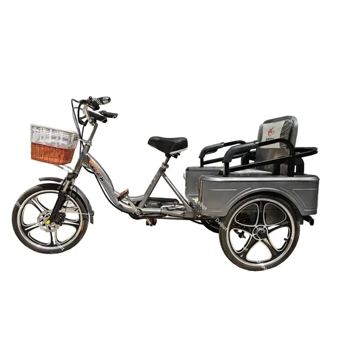 Parent enfant 2 personnes vélo électrique 3 roues avec panier de chargement Tricycle électrique âgé