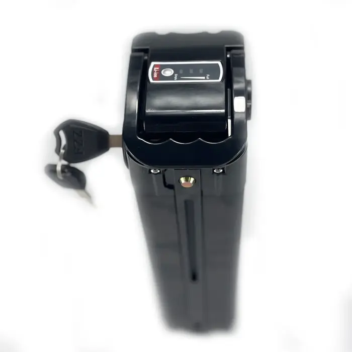 La rainure pliant Ebike 48V vélo Pedelec batterie