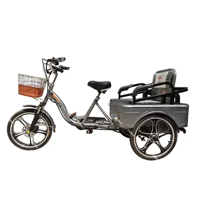 Tricycle électrique pour personnes âgées, 3 roues, pour passager de fret, avec batterie cachée, amov