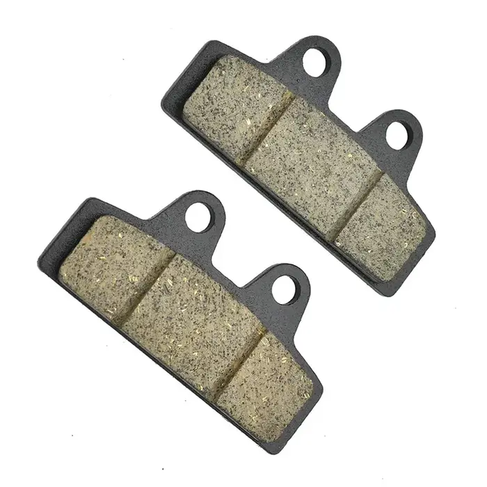 Plaquettes de frein à disque pour scooter électrique Citycoco