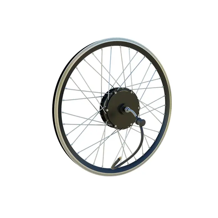 Moteur de roue de vélo électrique 20-29 pouces avec 36V 48V 250W 350W 500W