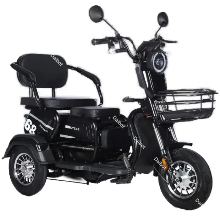 Tricycle électrique adulte 48V 600W, Scooter électrique à 3 roues pour adultes, batterie amovible, s