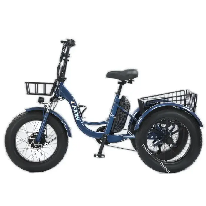 Nouveau 3 roues gros pneu adulte vélo électrique femmes ville 500W 20 pouces famille Cargo Tricycle