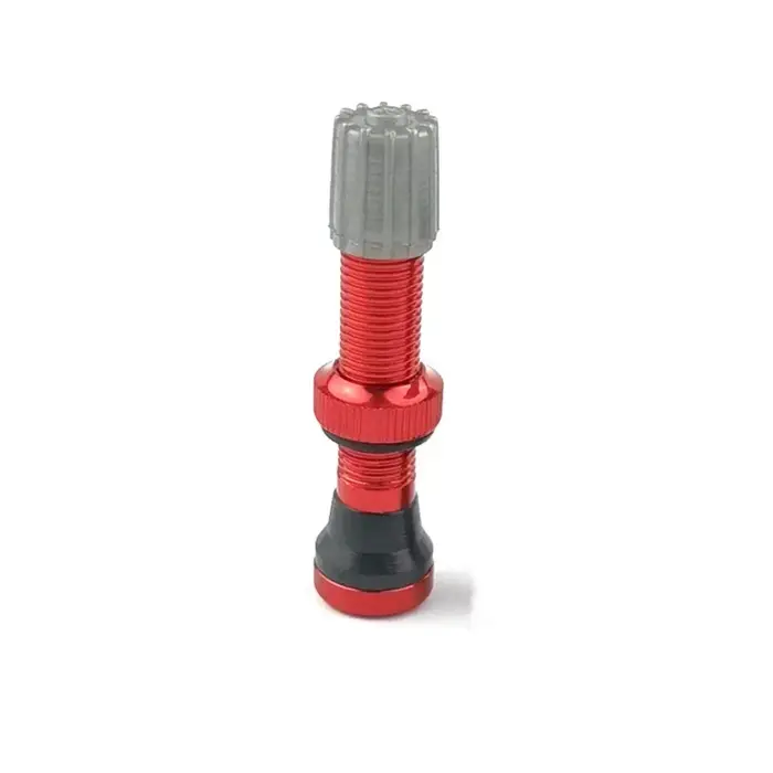 Valve Schrader sans chambre à air