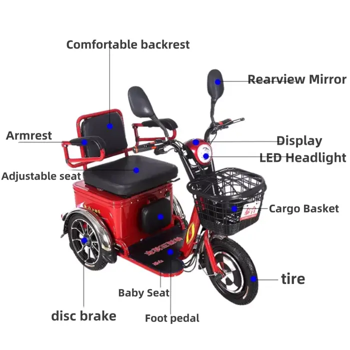 Scooter électrique à 3 roues 350W 48V