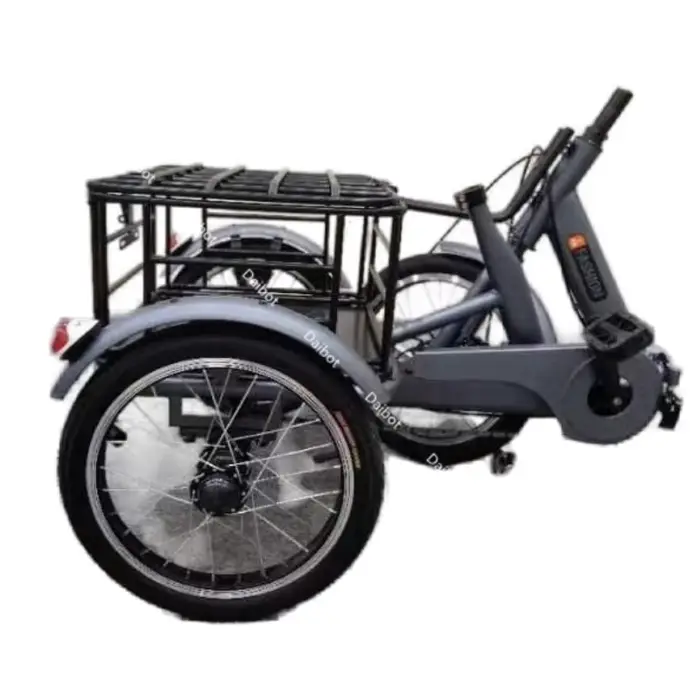 400W adulte Cargo vélo électrique nouveau Tricycle
