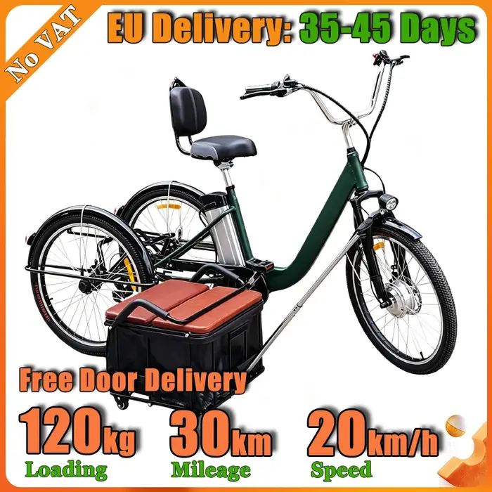 Tricycle électrique pour adultes de 24 pouces